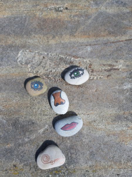 Artikelbild